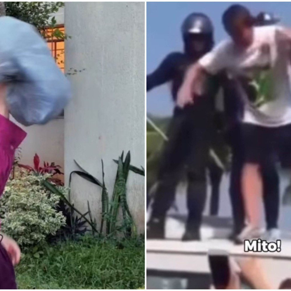 Deputada viraliza ao "jogar" Bolsonaro no lixo em pedido de votos para Lula