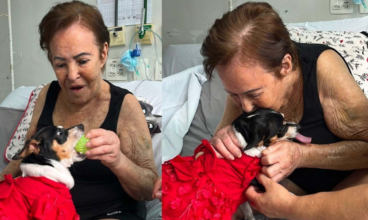 Dona Maria reencontra sua pinscher Lindinha no Hospital São Francisco
- (crédito: Brendha Bonani/HSF)