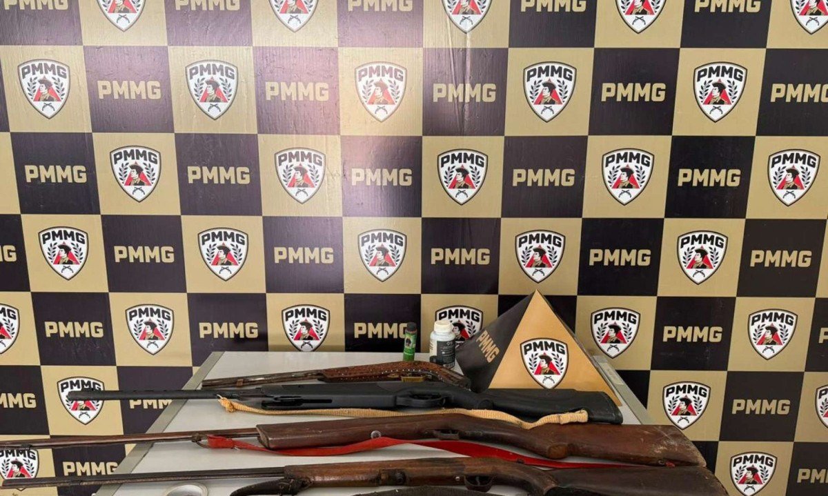 Homem é preso em Guanhães por violência doméstica e porte ilegal de arma de fogo. Três armas de fogo e uma de pressão foram apreendidas - (crédito: Divulgação/PMMG)