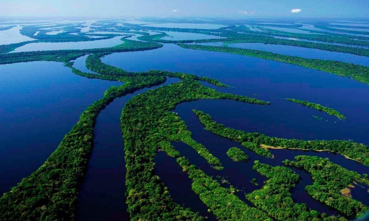 Anavilhanas: onde floresta, rio e silêncio se encontram para revelar a força sagrada da Amazônia - (crédito: TripAdvisor)