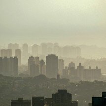 Poluição do ar altera tecidos bucais e agrava periodontite - Gustavo Nacht/Unsplash/Fapesp