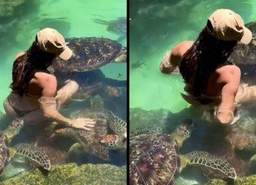 Tartaruga morde bumbum de modelo durante sessão de fotos e vídeo viraliza -  (crédito: Tupi)