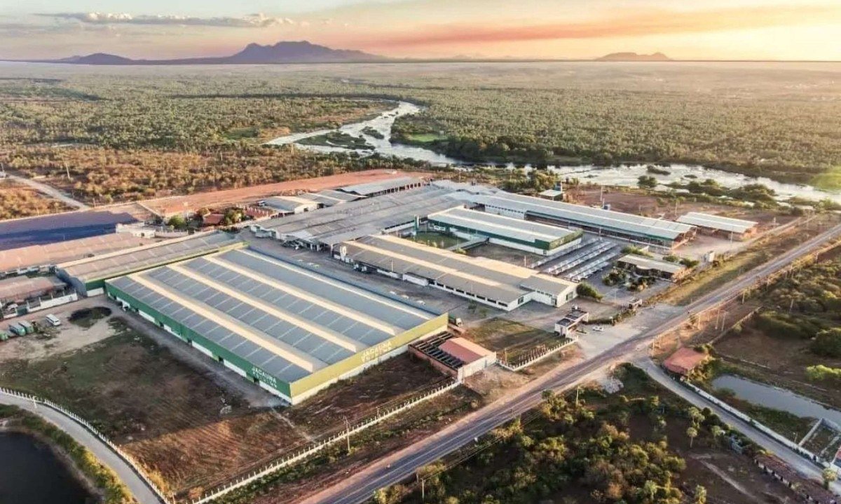 Indústria moveleira impulsiona emprego e renda em Marco - (crédito: DINO)
