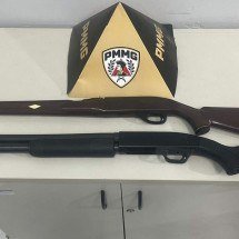 Dupla é presa com armas escondidas em carrinho de mão - Reprodução/PMMG