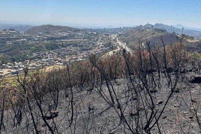 cadeia de efeitos - fenômeno intensifica secas, que favorecem as queimadas, com reflexos na saúde respiratória -  (crédito: Mateus Parreiras/EM/D.A Press)