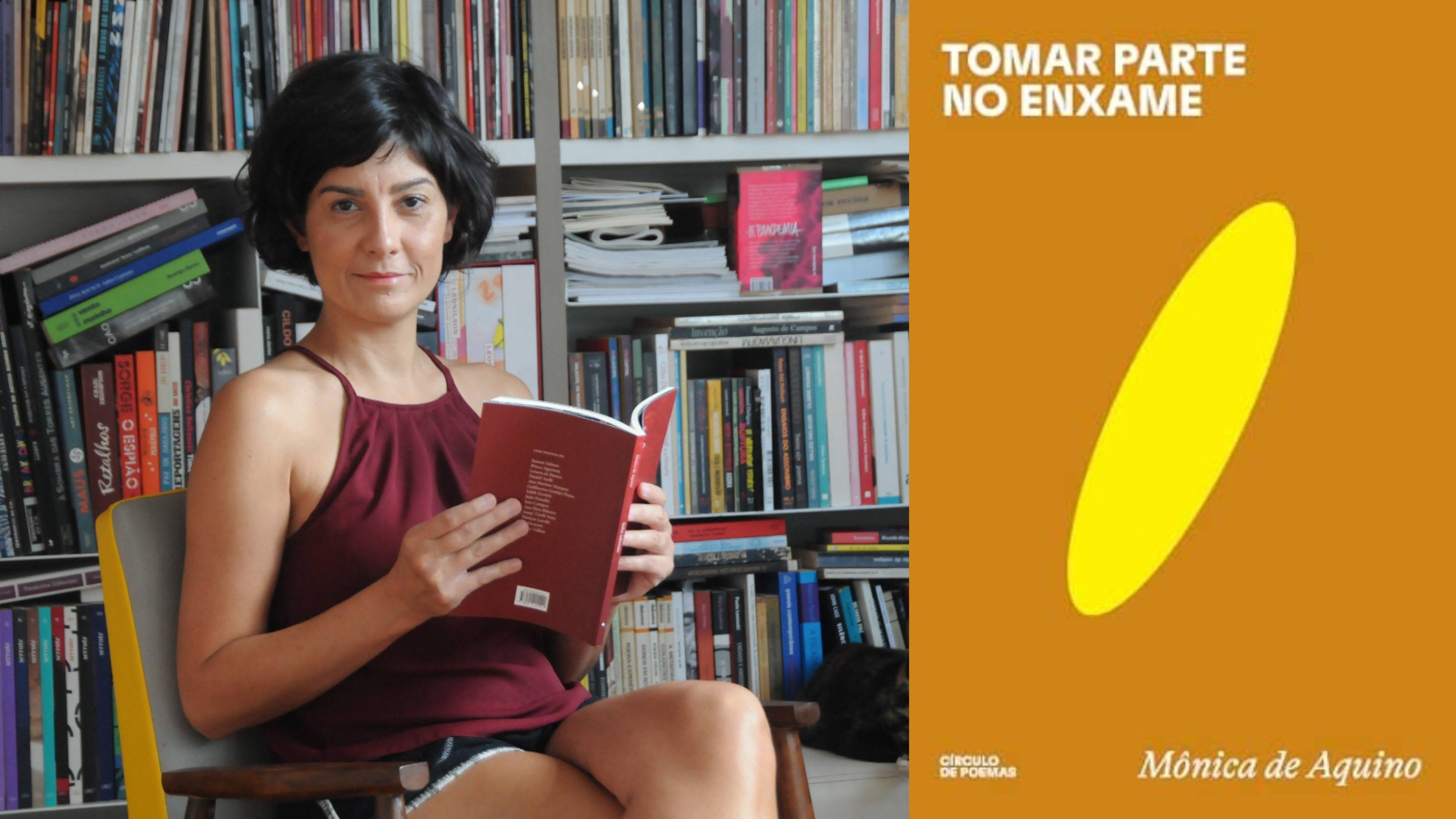 Primeira leitura: 'Tomar parte no enxame', de Mônica de Aquino