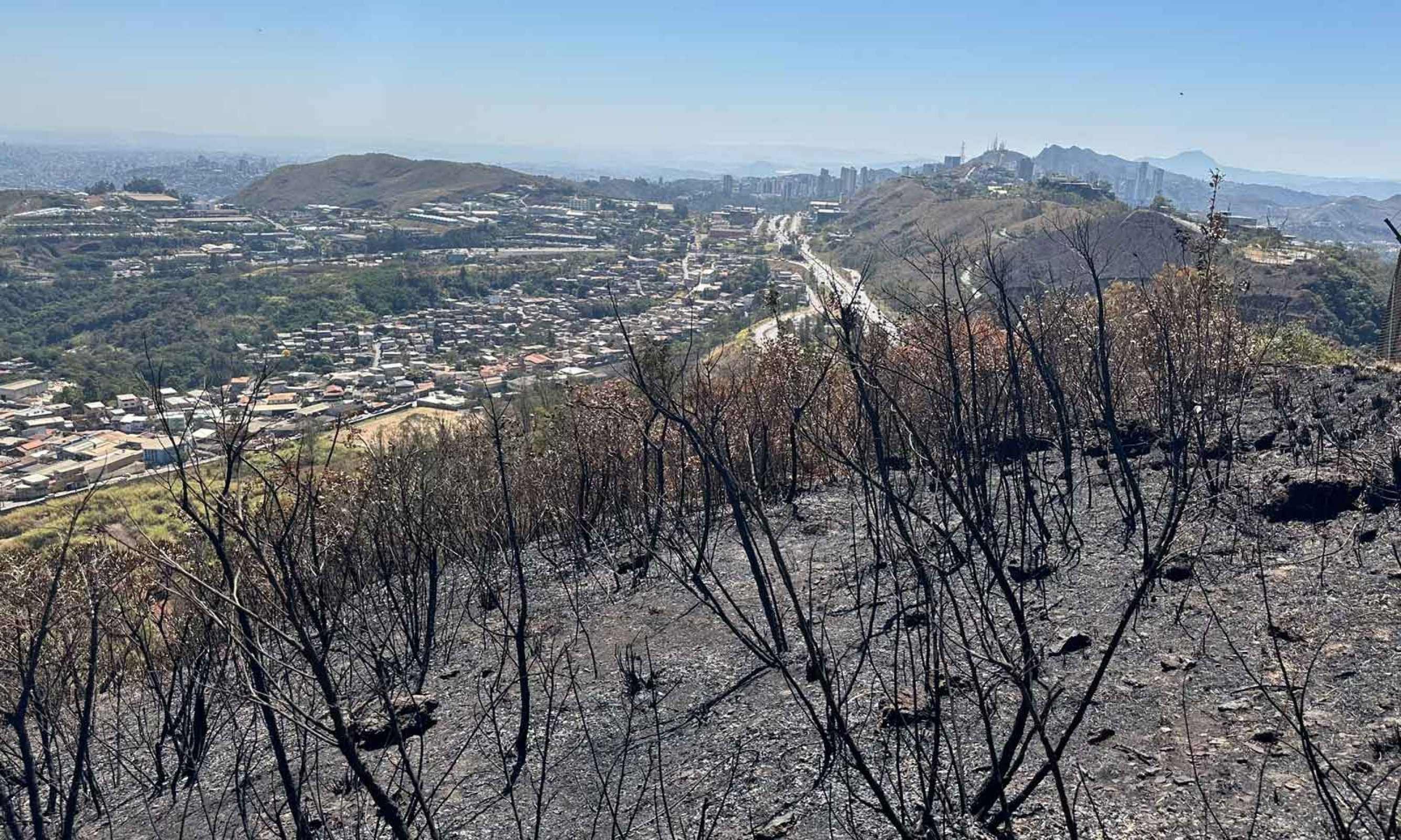 Super El Niño: recorde da dengue em Minas coincidiu com o último fenômeno