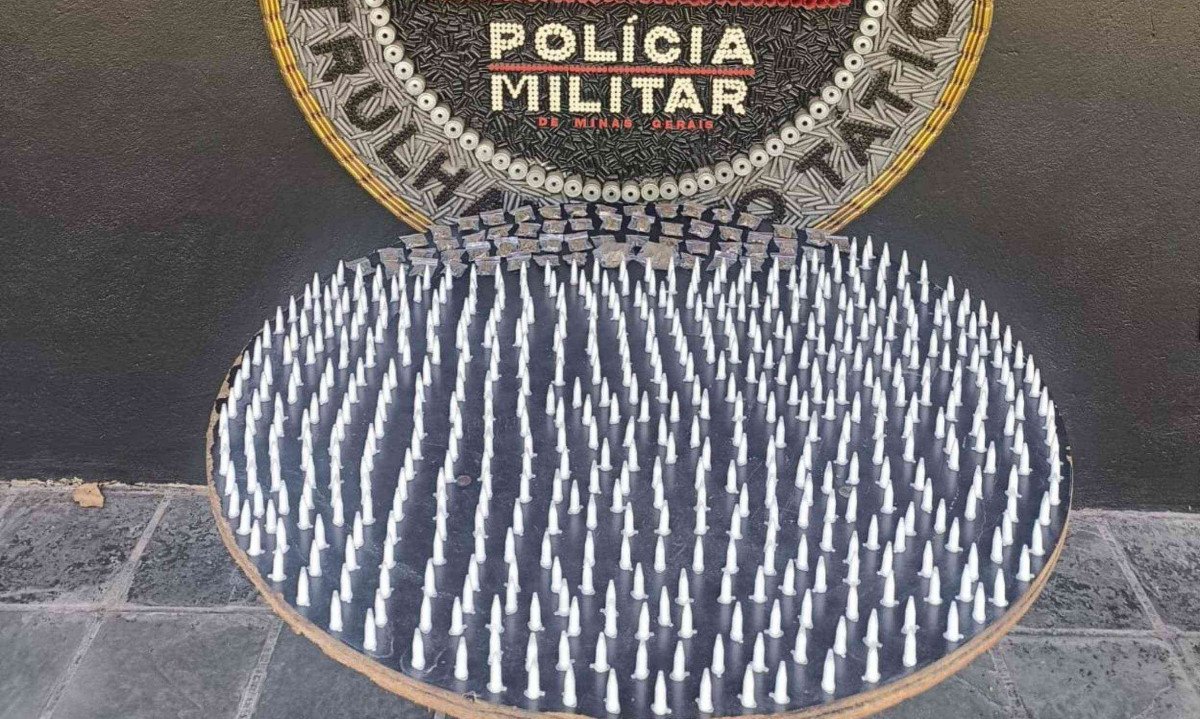 A varredura na área resultou na apreensão total de 510 pinos de cocaína e 58 buchas de maconha - (crédito: PMMG)