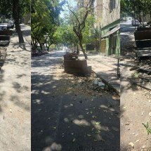 Carro atinge parklet de cafeteria em BH e estrutura fica destruída - Arquivo Pessoal