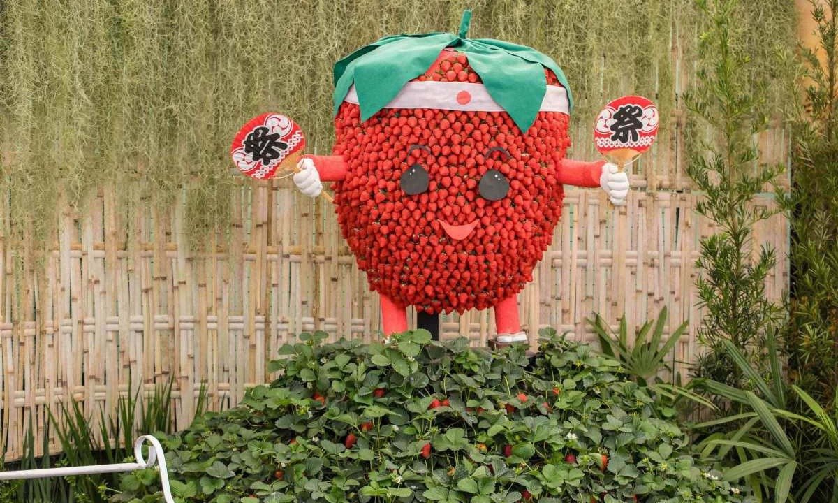 Festa de Flores e Morangos de Atibaia apresenta novidades - (crédito: DINO)
