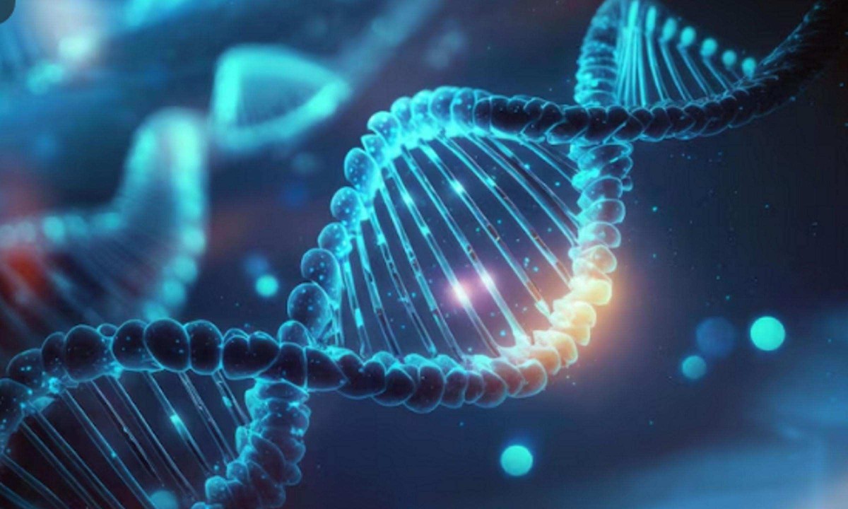 Testes de ancestralidade analisam milhares de marcadores distribuídos pelo DNA e os comparam com bancos genéticos de populações de diferentes regiões do mundo - (crédito: Magnific)