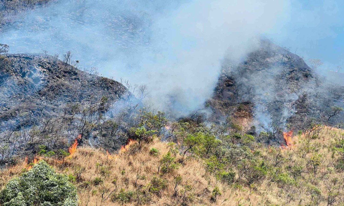 Incêndio atinge mata no Buritis - (crédito: Divulgação)