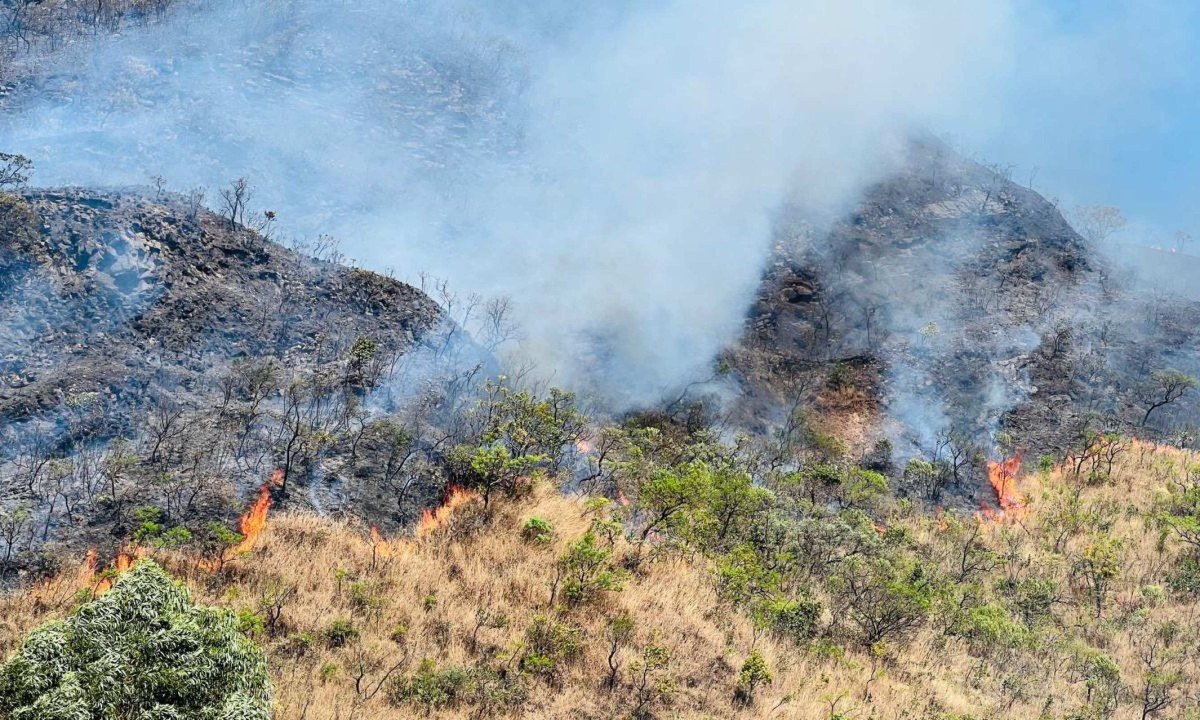 Bombeiros combatem as chamas em área de vegetação no Buritis, Região Oeste de BH - (crédito: Edésio Ferreira/EM/D.A Press)