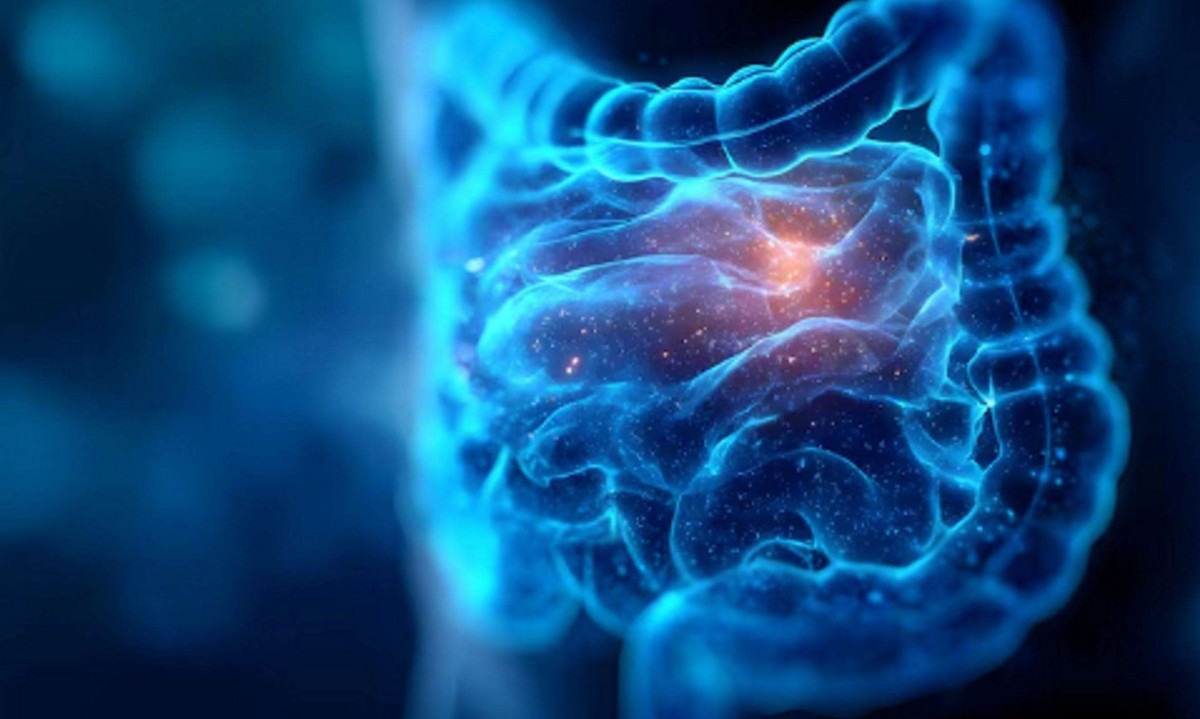 Intestino responde ao conjunto dos hábitos, não a uma solução isolada - (crédito: Magnific)