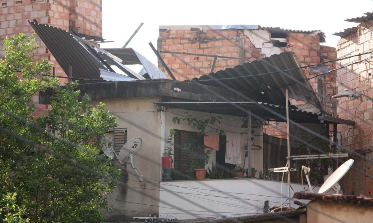 Árvores caídas e telhados retorcidos; veja estragos da chuva na capital mineira - (crédito: Edésio Ferreira/EM/D.A.Press)
