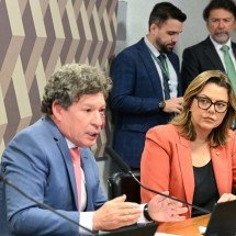Taxa das Blusinhas: MP que acaba com imposto vai à votação nesta terça - Edilson Rodrigues/Ag..ncia Senado     