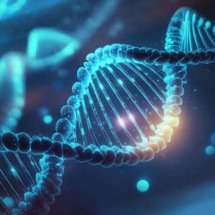 Irmãos podem ter ancestralidades diferentes? A genética explica - Magnific