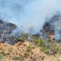 Incêndio em área de mata no Buritis é controlado pelos bombeiros - Divulgação