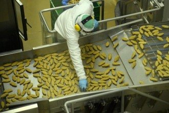 CNI: Brasil pode levar 30 anos para compensar produtividade com fim da escala 6×1