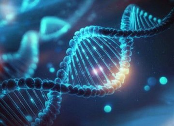 Testes de ancestralidade analisam milhares de marcadores distribuídos pelo DNA e os comparam com bancos genéticos de populações de diferentes regiões do mundo -  (crédito: Magnific)