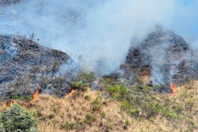 Bombeiros combatem as chamas em área de vegetação no Buritis, Região Oeste de BH -  (crédito: Edésio Ferreira/EM/D.A Press)
