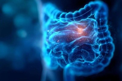 Intestino responde ao conjunto dos hábitos, não a uma solução isolada -  (crédito: Magnific)