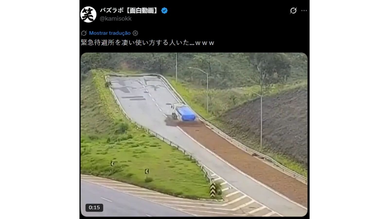 Caminh&atilde;o utiliza a &aacute;rea de escape do Anel Rodovi&aacute;rio de BH em manobra que viralizou no Jap&atilde;o por sua precis&atilde;o e efic&aacute;cia -  (crédito: Redes sociais)