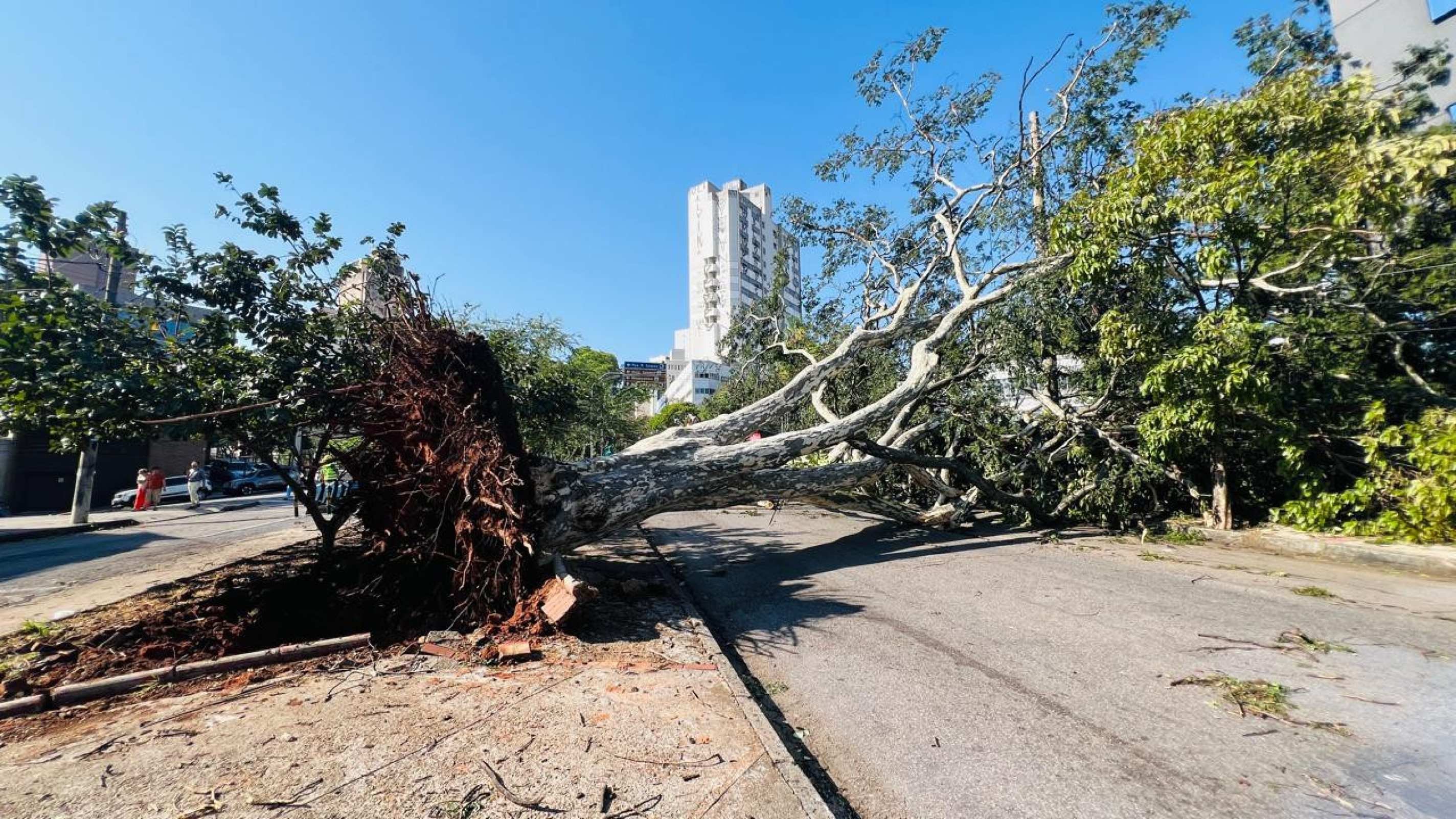 Temporal deixa rastro de destruição e BH amanhece com estragos-Edésio Ferreira/EM/D.A.Press