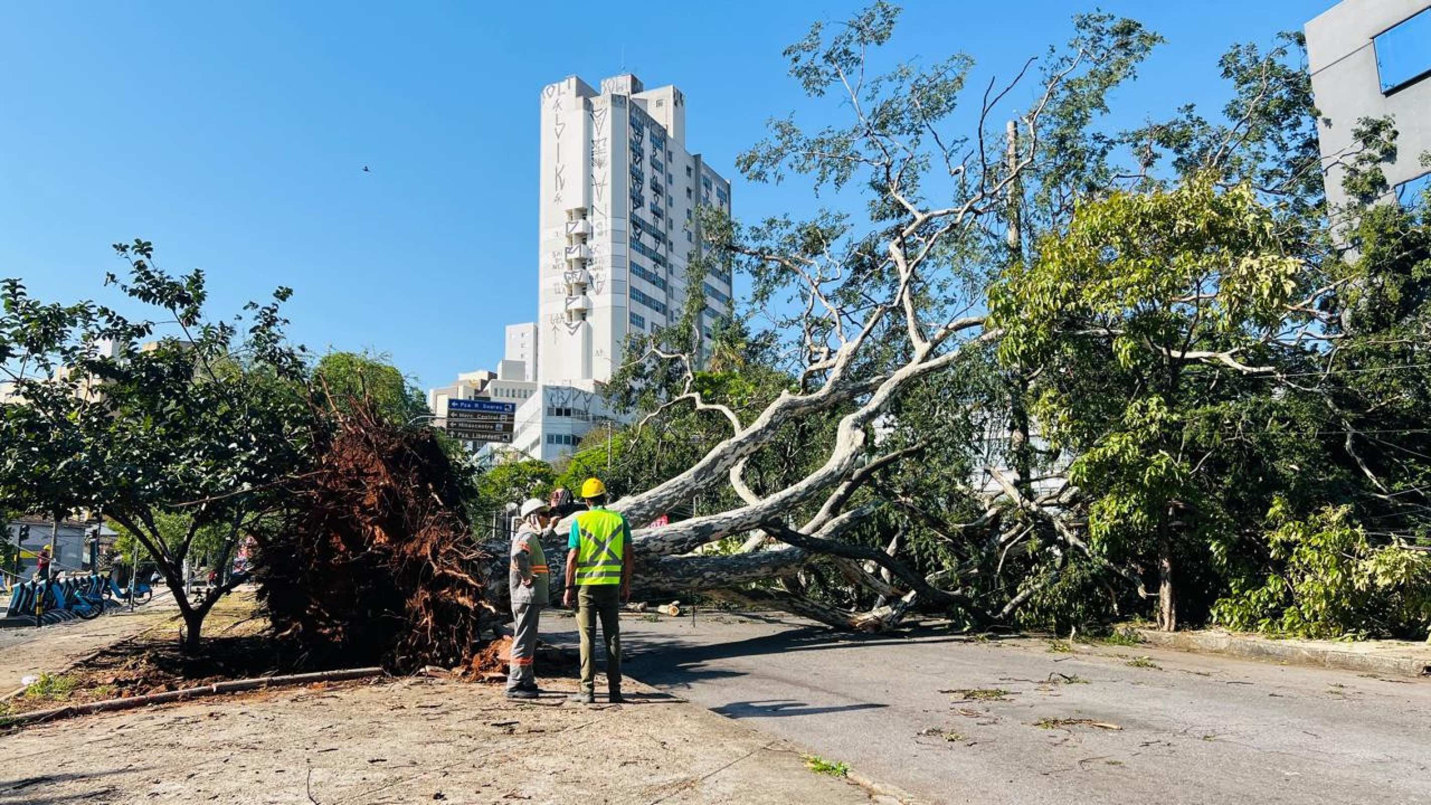 Temporal deixa rastro de destruição e BH amanhece com estragos-Edésio Ferreira/EM/D.A.Press