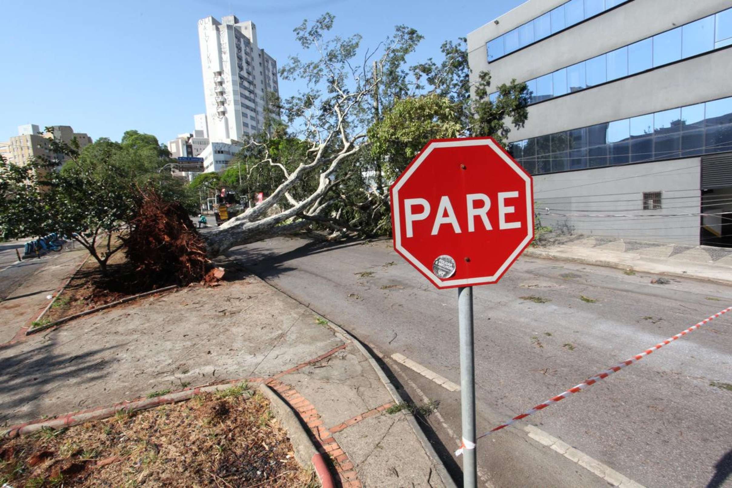 Temporal deixa rastro de destruição e BH amanhece com estragos-Edésio Ferreira/EM/D.A.Press