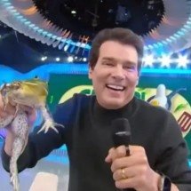 Celso Portiolli: caso da rã no SBT ganha novo capítulo na Justiça - SBT/Reprodu&ccedil;&atilde;o