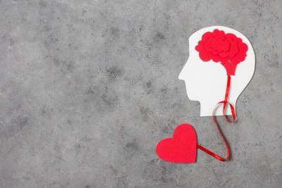 A descoberta ajuda a explicar como diferentes sistemas do organismo trabalham de maneira integrada -  (crédito: magnific)