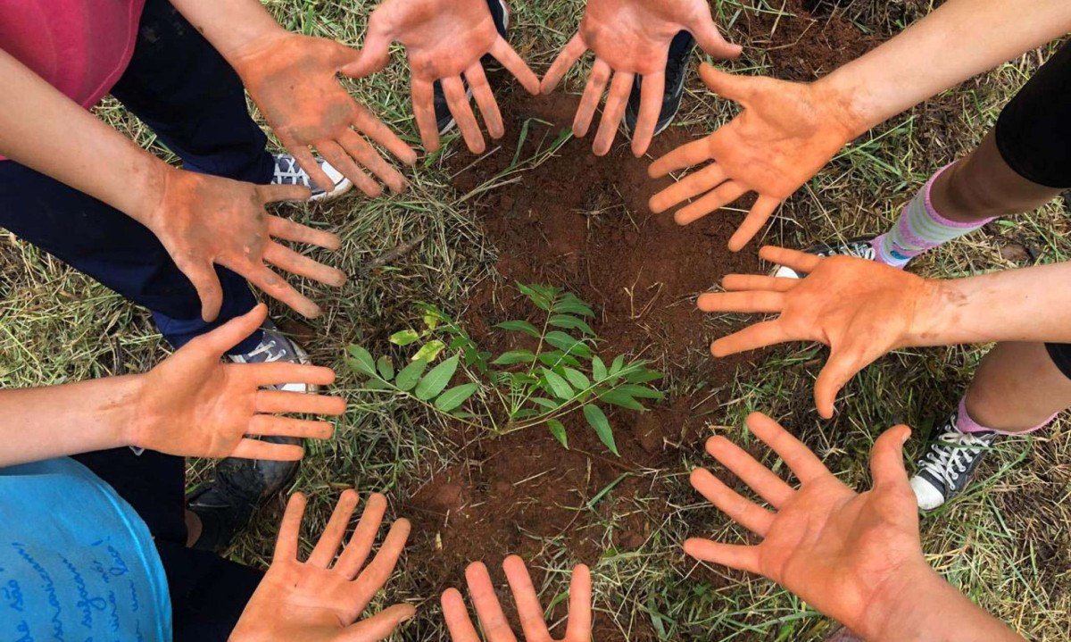 Relatórios de sustentabilidade de escolas ganham relevância - (crédito: DINO)