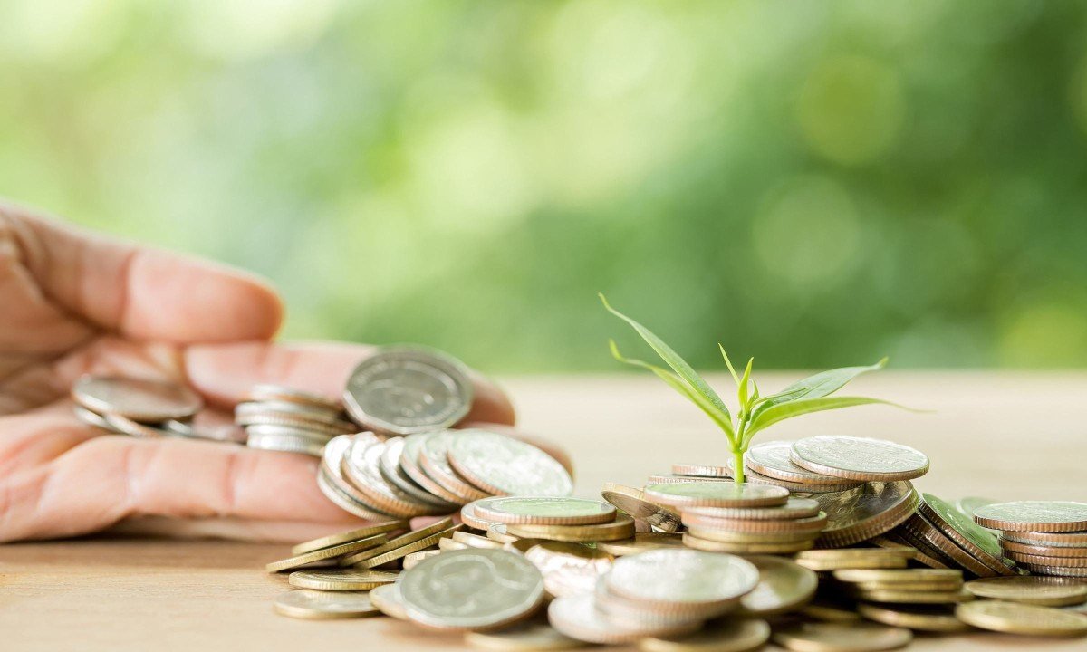 Planting trees on a coin pile with sunlight to save money, saving and investment ideas or future financial planning, ideas for business, innovation, growth and money.
- (crédito: DINO)