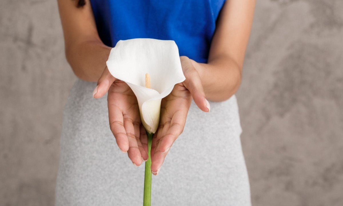 Segundo o oncologista Ângelo Bezerra, conhecer o histórico familiar é uma parte importante da prevenção - (crédito: cookie_studio/magnific)