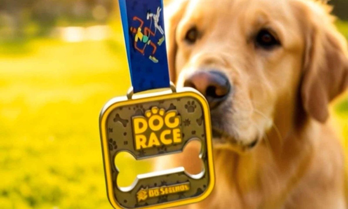 Corrida a quatro patas