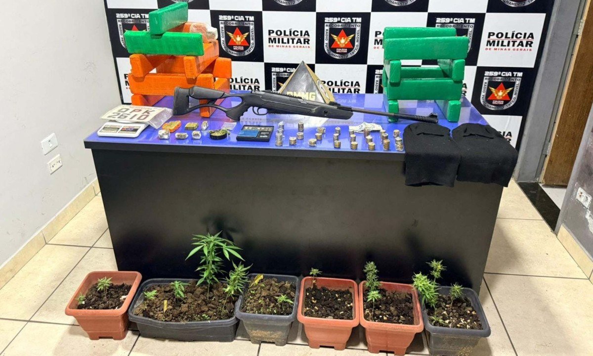 Barras, tabletes e pés de maconha encontrados em residência no Norte de Minas - (crédito: PMMG/Divulgação)
