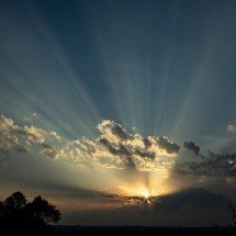 Expedição pelo Cerrado revela, em imagens, a alma do Brasil -  Leo Drumond / NITRO