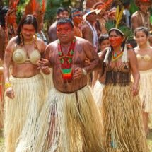 Amazônia viva: uma viagem que começa com quem mora na floresta  - Vivalá/Divulgação