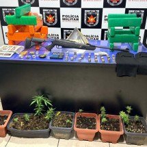 Barras, tabletes e pés de maconha são apreendidos no Norte de Minas - PMMG/Divulgação