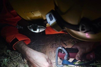 O filhote foi resgatado sem intercorrências e entregue aos donos -  (crédito: Reprodução/CBMMG)