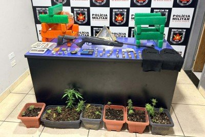 Barras, tabletes e pés de maconha encontrados em residência no Norte de Minas -  (crédito: PMMG/Divulgação)