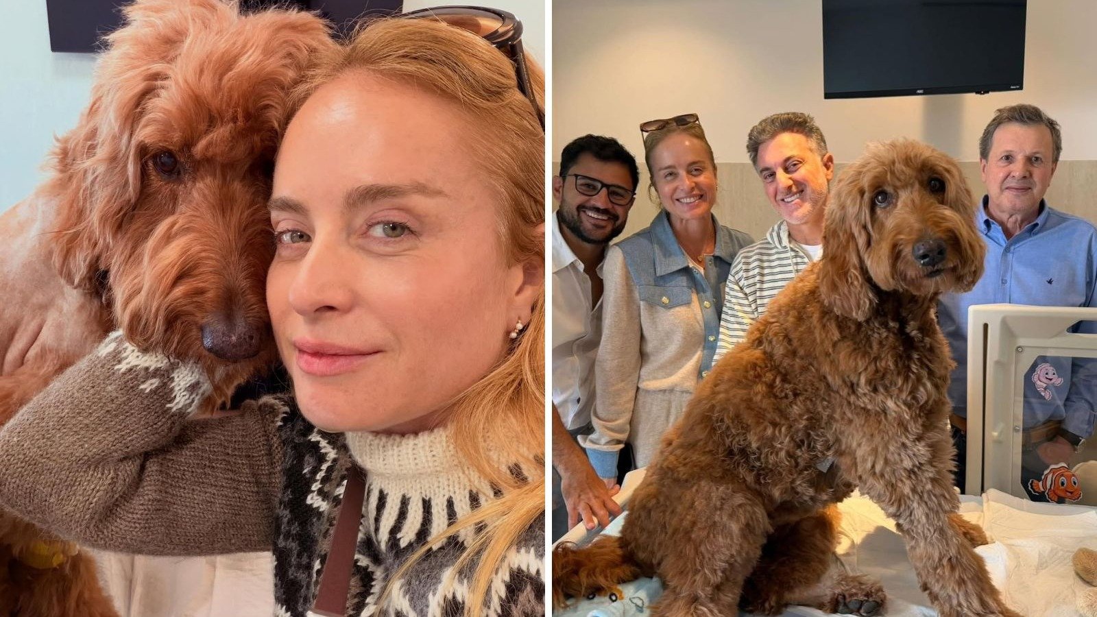 Ang&eacute;lica ao lado de sua cadela Gringa, que recebeu um diagn&oacute;stico delicado, e com a equipe veterin&aacute;ria que acompanha o tratamento do pet -  (crédito: Redes sociais)