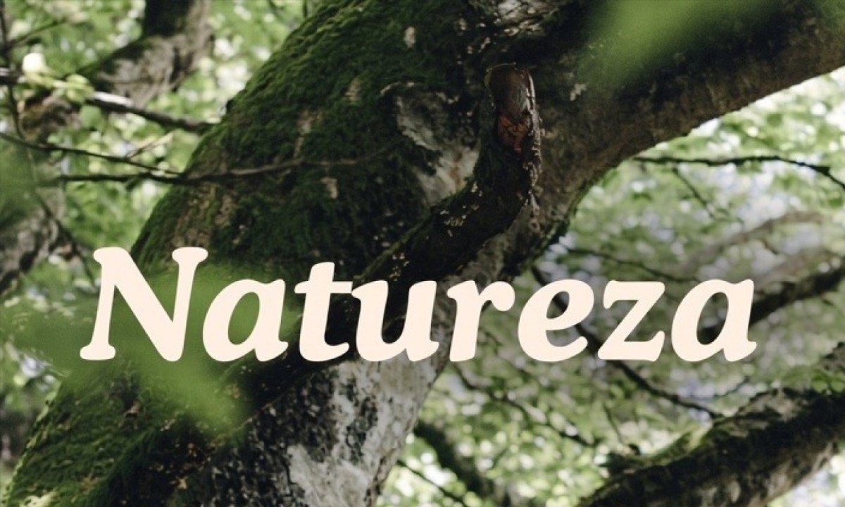 ECA Ambiental é aprovado no Congresso Nacional - (crédito: DINO)