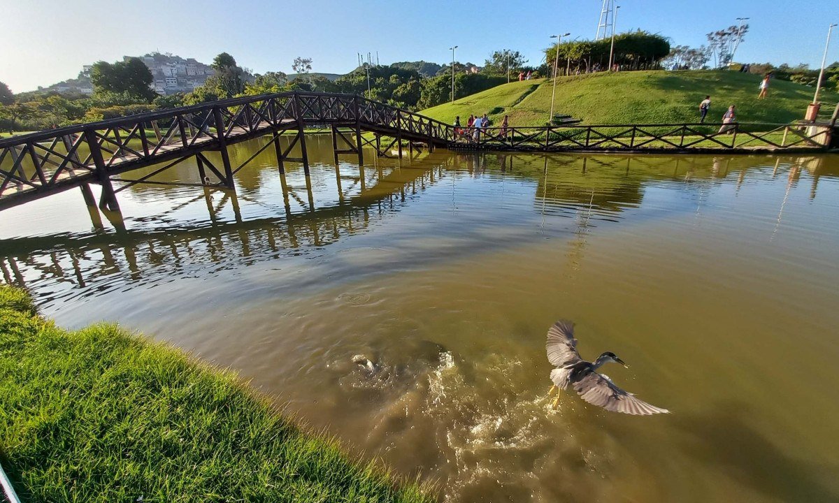 Em Ipatinga, o Parque Ipanema re&uacute;ne lago, jardins e muito verde em um dos cen&aacute;rios mais marcantes do Vale do A&ccedil;o