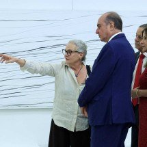 Artista plástica chama a atenção para a preservação ambiental - Juarez Rodrigues/TJMG/Divulgação
