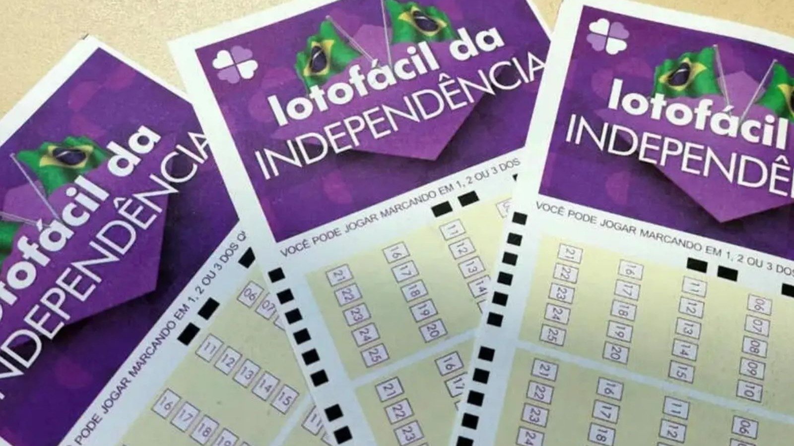 Bilhetes da Lotof&aacute;cil da Independ&ecirc;ncia, que ter&aacute; sorteio em setembro com pr&ecirc;mio estimado em R$ 300 milh&otilde;es -  (crédito: Caixa / Divulga&ccedil;&atilde;o)