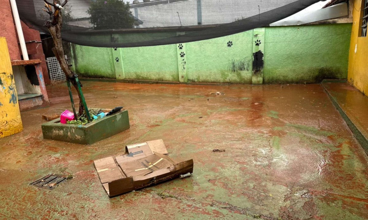 Intensidade do vazamento foi tão forte que moradores do Bairro Milionários, na Região do Barreiro, em BH, tiveram as casas invadidas pela água - (crédito: Quéren Hapuque/EM/DA Press)