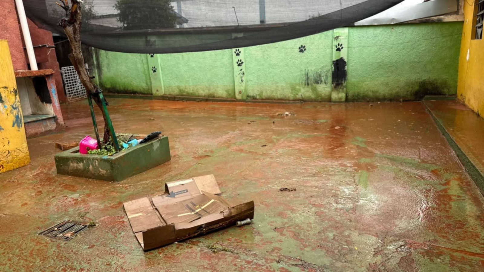 Intensidade do vazamento foi tão forte que moradores do Bairro Milionários, na Região do Barreiro, em BH, tiveram as casas invadidas pela água-Quéren Hapuque/EM/DA Press