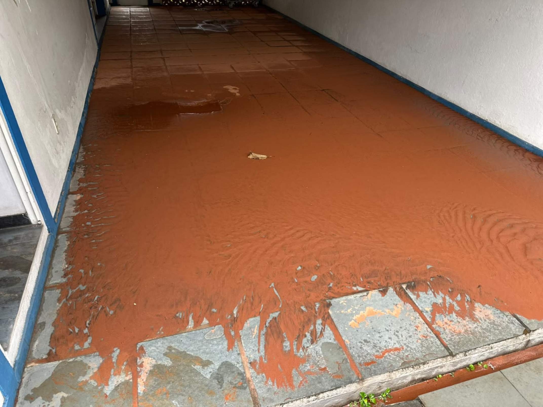 Na casa de Mara Regina da Silva, a água invadiu o quintal e levou o que encontrou pela frente
